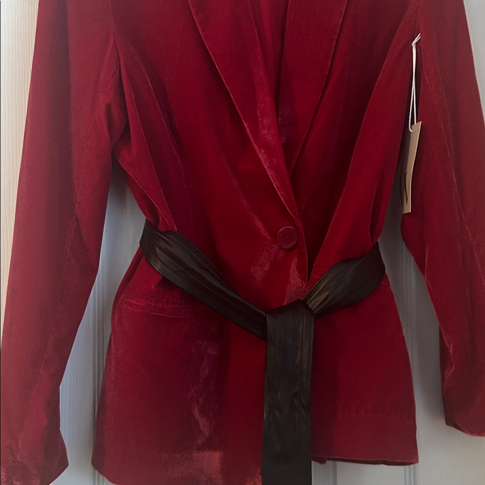 Velour blazer - Picture 3 of 5